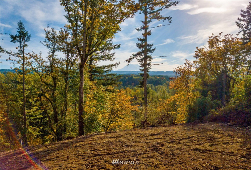 0 XX 249th, Orting, Washington 98360, ,Land,For Sale,Saddlebrook,XX 249th,NWM1856509