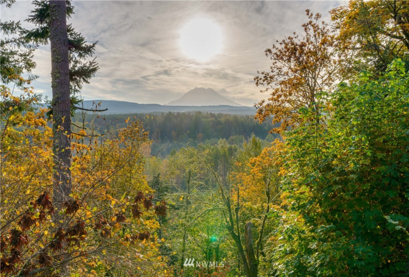 0 XX 249th, Orting, Washington 98360, ,Land,For Sale,Saddlebrook,XX 249th,NWM1856509