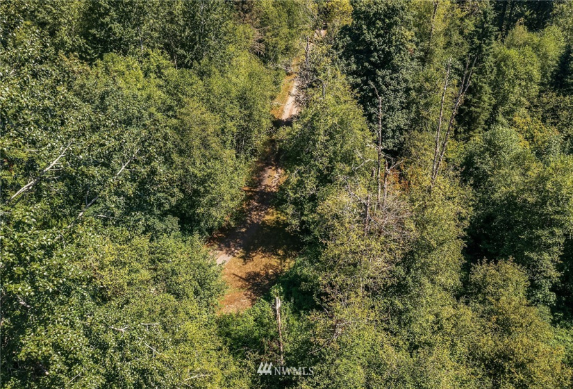 324 XX 116th, Carnation, Washington 98014, ,Land,For Sale,116th,NWM1856895