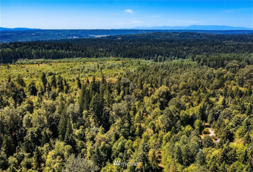 324 XX 116th, Carnation, Washington 98014, ,Land,For Sale,116th,NWM1856895