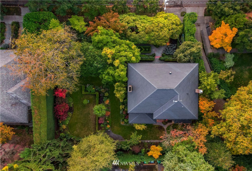 926 Harvard, Seattle, Washington 98102, 4 Bedrooms Bedrooms, ,1 BathroomBathrooms,Residential,For Sale,Harvard,NWM1856019