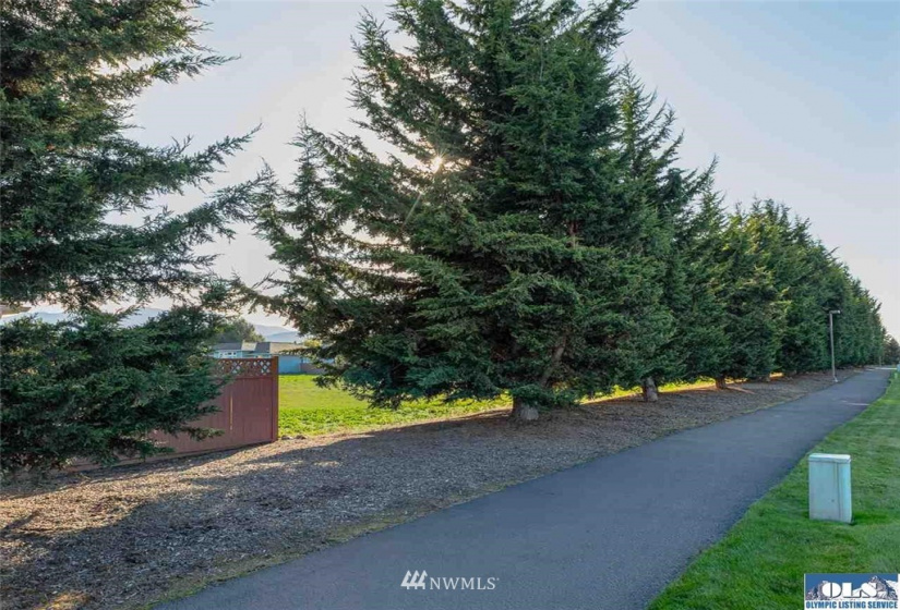 1051 Lindsey Lane, Sequim, Washington 98382, ,Land,For Sale,The Meadows,Lindsey Lane,NWM1857043