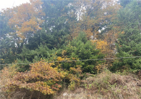 0 Jefferson, Chehalis, Washington 98532, ,Land,For Sale,Jefferson,NWM1856660