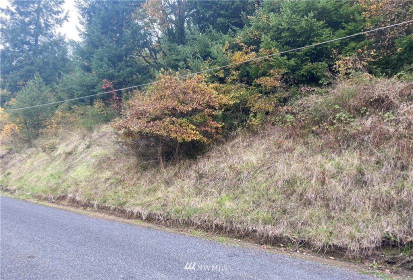 0 Jefferson, Chehalis, Washington 98532, ,Land,For Sale,Jefferson,NWM1856660