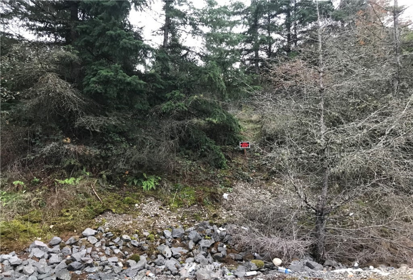 0 312th, Auburn, Washington 98093, ,Land,For Sale,312th,NWM1855286