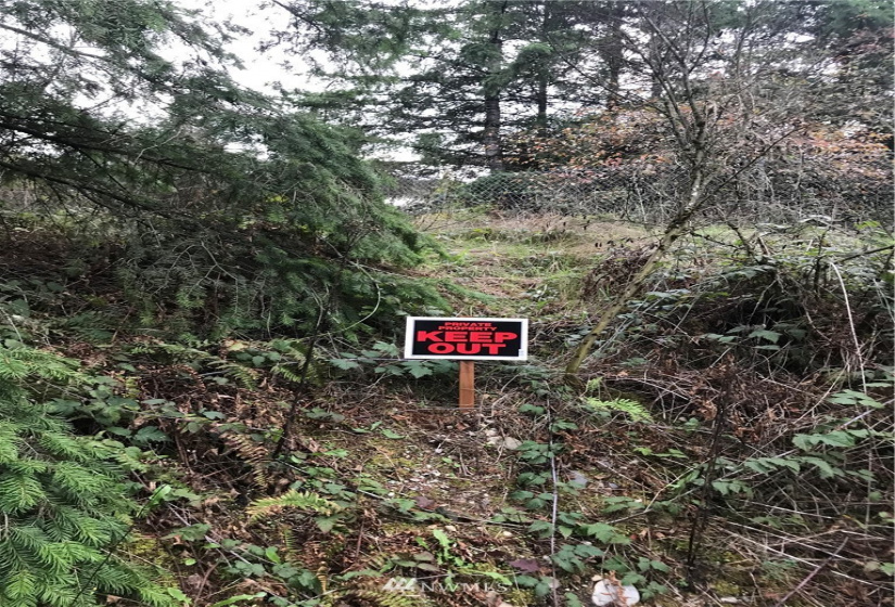 0 312th, Auburn, Washington 98093, ,Land,For Sale,312th,NWM1855286