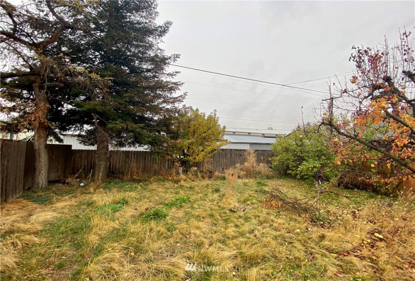 410 Washington, Dayton, Washington 99328, 3 Bedrooms Bedrooms, ,1 BathroomBathrooms,Residential,For Sale,Washington,NWM1856847