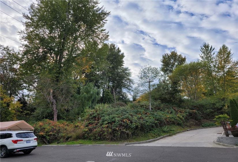 1414 Morton, Tacoma, Washington 98404, ,Land,For Sale,Indian Add,Morton,NWM1856680