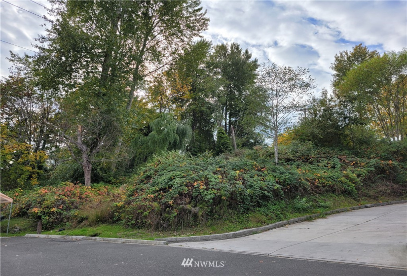1414 Morton, Tacoma, Washington 98404, ,Land,For Sale,Indian Add,Morton,NWM1856680