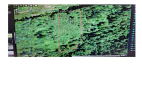 0 Sylvan P/N Wl0714003, Longview, Washington 98632, ,Land,For Sale,Sylvan P/N Wl0714003,NWM1856088