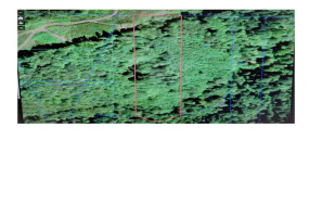 0 Sylvan P/N W10714005, Longview, Washington 98632, ,Land,For Sale,Sylvan P/N W10714005,NWM1856090