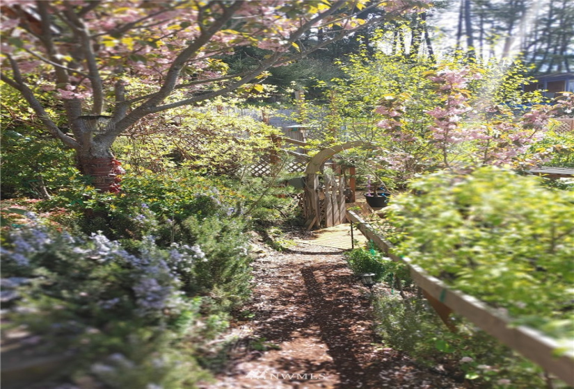 210 Gafford, Orcas Island, Washington 98245, ,Residential,For Sale,Gafford,NWM1857270
