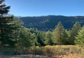 0 X Timber Ridge Canyon, Leavenworth, Washington 98826, ,Land,For Sale,Timber Ridge Canyon,NWM1857503