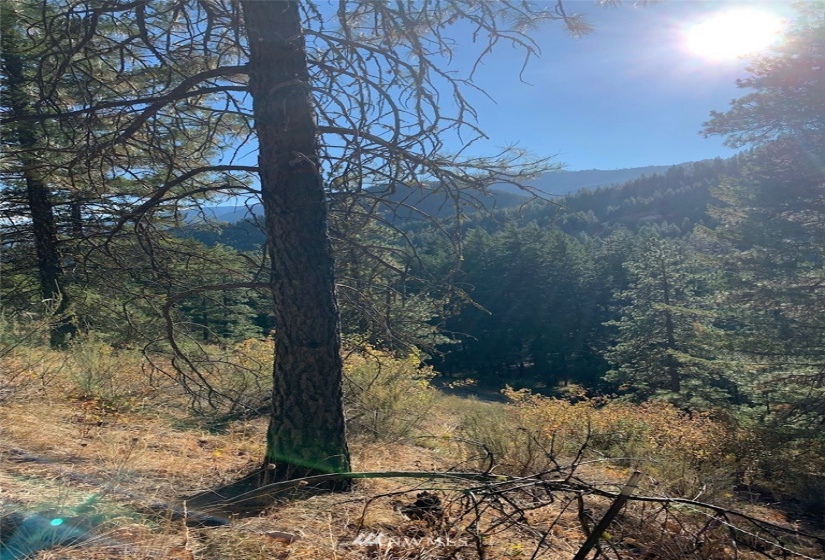 0 X Timber Ridge Canyon, Leavenworth, Washington 98826, ,Land,For Sale,Timber Ridge Canyon,NWM1857503