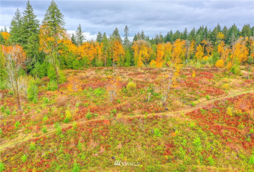 5739 Steamboat Island, Olympia, Washington 98502, 1 Bedroom Bedrooms, ,1 BathroomBathrooms,Residential,For Sale,Steamboat Island,NWM1857473