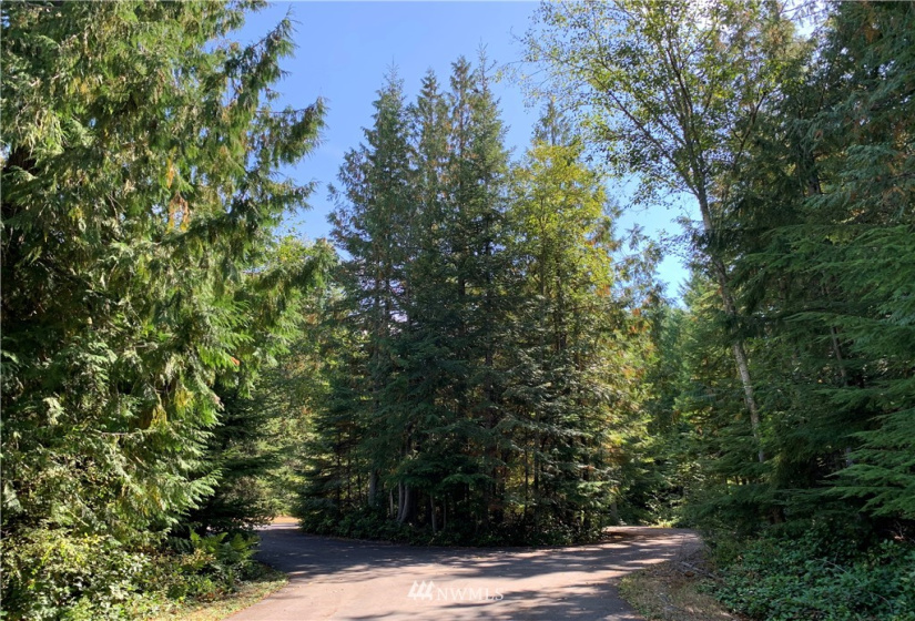 0 Sunny View Dr, Sequim, Washington 98382, ,Land,For Sale,Sunny View Dr,NWM1842484