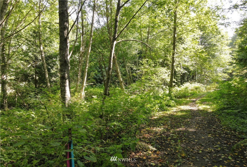 0 Sunny View Dr, Sequim, Washington 98382, ,Land,For Sale,Sunny View Dr,NWM1842484