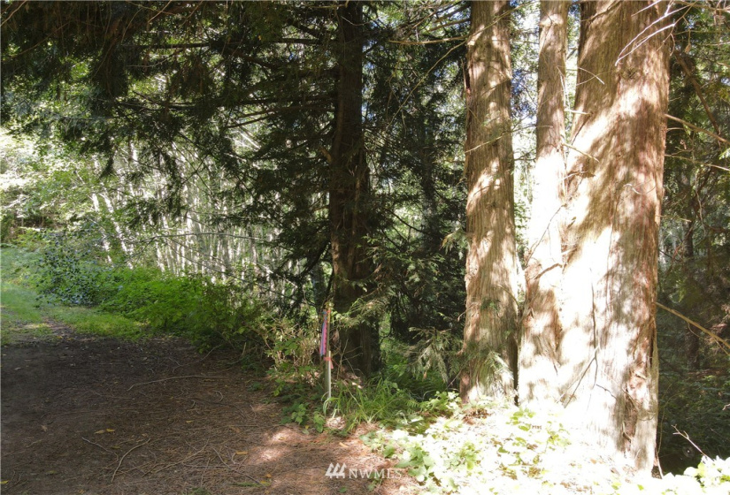 0 Sunny View Dr, Sequim, Washington 98382, ,Land,For Sale,Sunny View Dr,NWM1842484