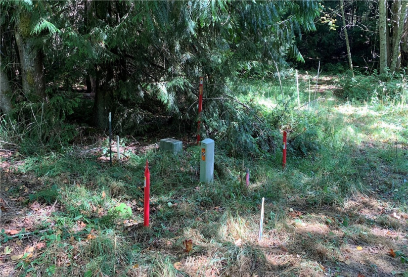 0 Sunny View Dr, Sequim, Washington 98382, ,Land,For Sale,Sunny View Dr,NWM1842484
