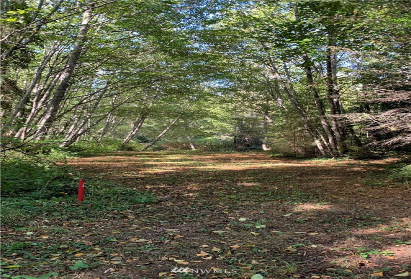 0 Sunny View Dr, Sequim, Washington 98382, ,Land,For Sale,Sunny View Dr,NWM1842484