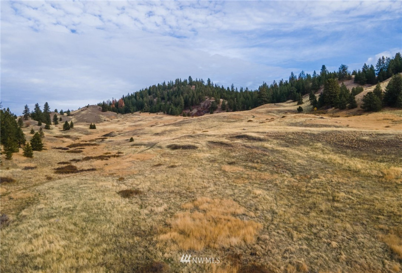 5170 Pheasant, Fruitland, Washington 99129, ,Land,For Sale,Pheasant,NWM1857689