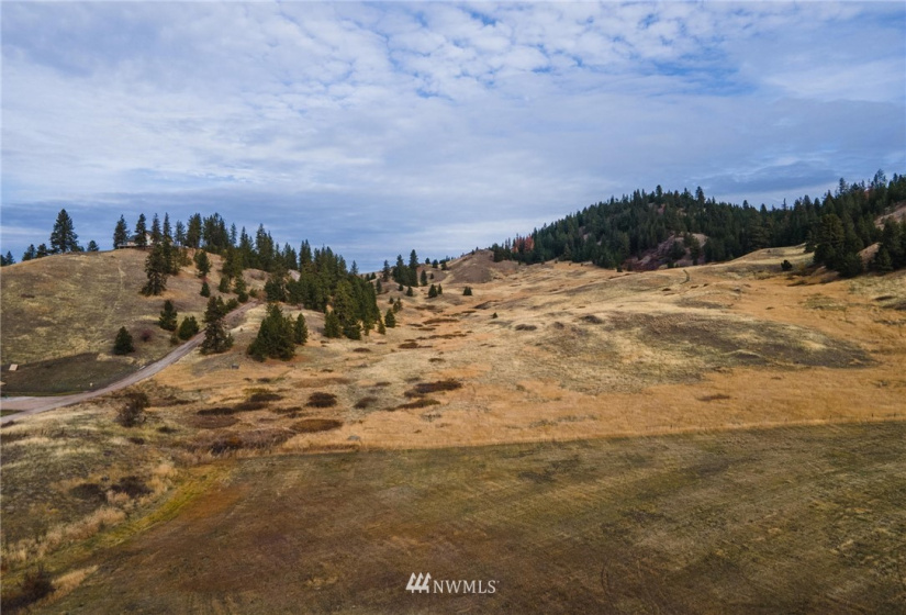 5170 Pheasant, Fruitland, Washington 99129, ,Land,For Sale,Pheasant,NWM1857689