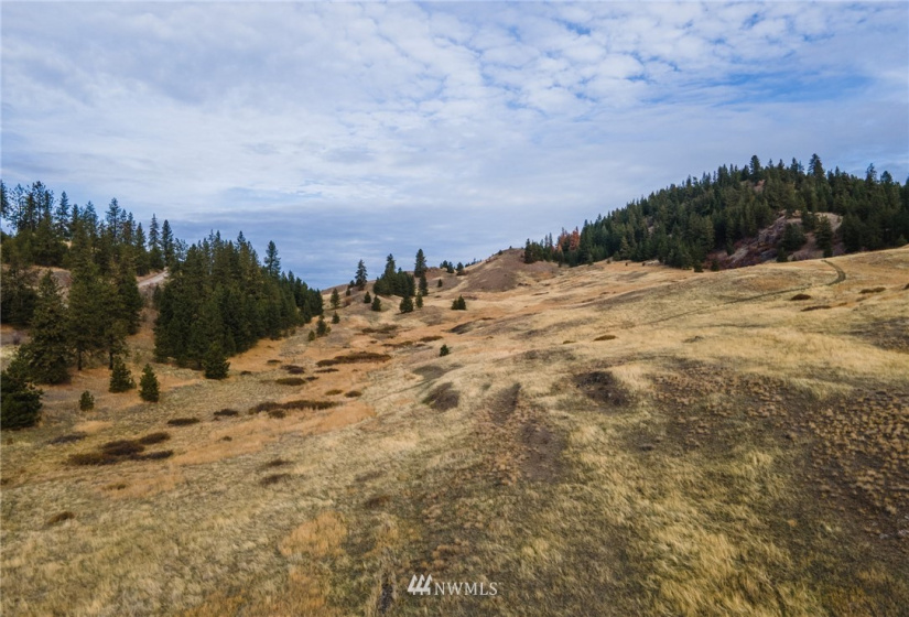 5170 Pheasant, Fruitland, Washington 99129, ,Land,For Sale,Pheasant,NWM1857689