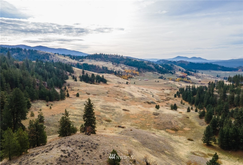 5170 Pheasant, Fruitland, Washington 99129, ,Land,For Sale,Pheasant,NWM1857689