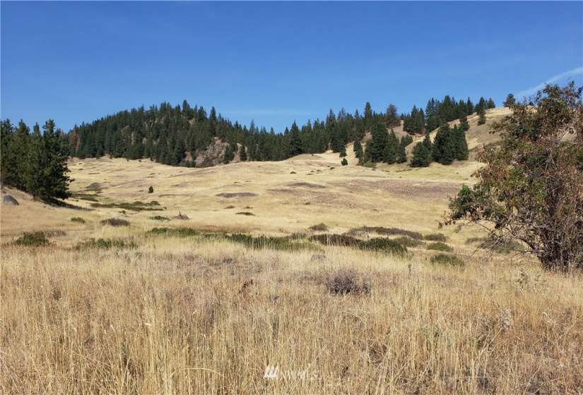5170 Pheasant, Fruitland, Washington 99129, ,Land,For Sale,Pheasant,NWM1857689