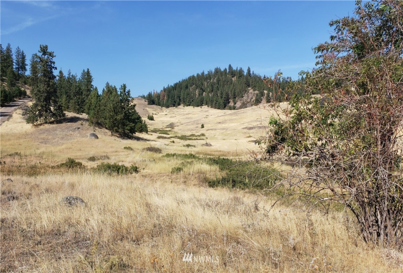 5170 Pheasant, Fruitland, Washington 99129, ,Land,For Sale,Pheasant,NWM1857689