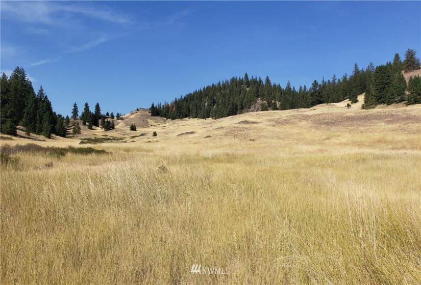 5170 Pheasant, Fruitland, Washington 99129, ,Land,For Sale,Pheasant,NWM1857689