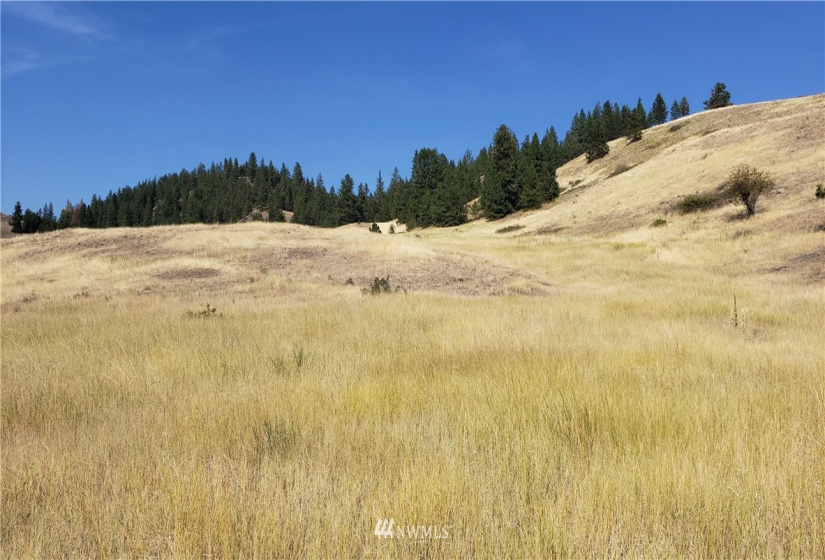 5170 Pheasant, Fruitland, Washington 99129, ,Land,For Sale,Pheasant,NWM1857689