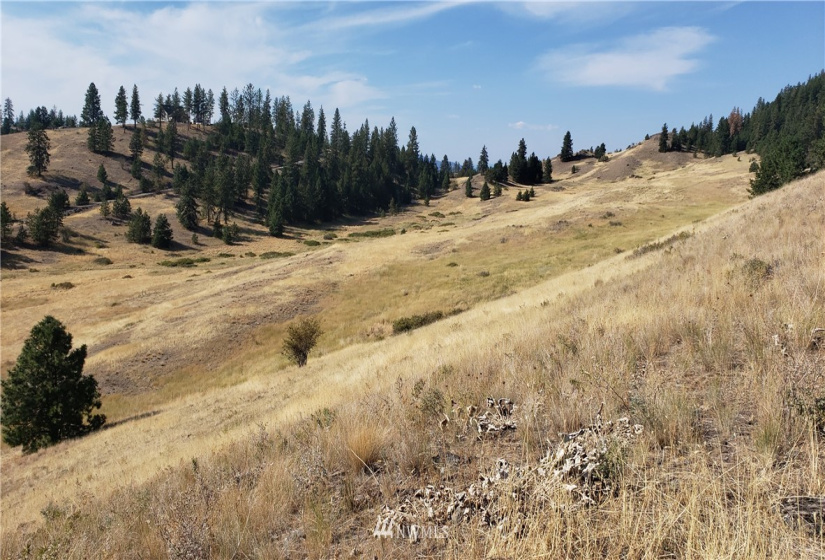 5170 Pheasant, Fruitland, Washington 99129, ,Land,For Sale,Pheasant,NWM1857689