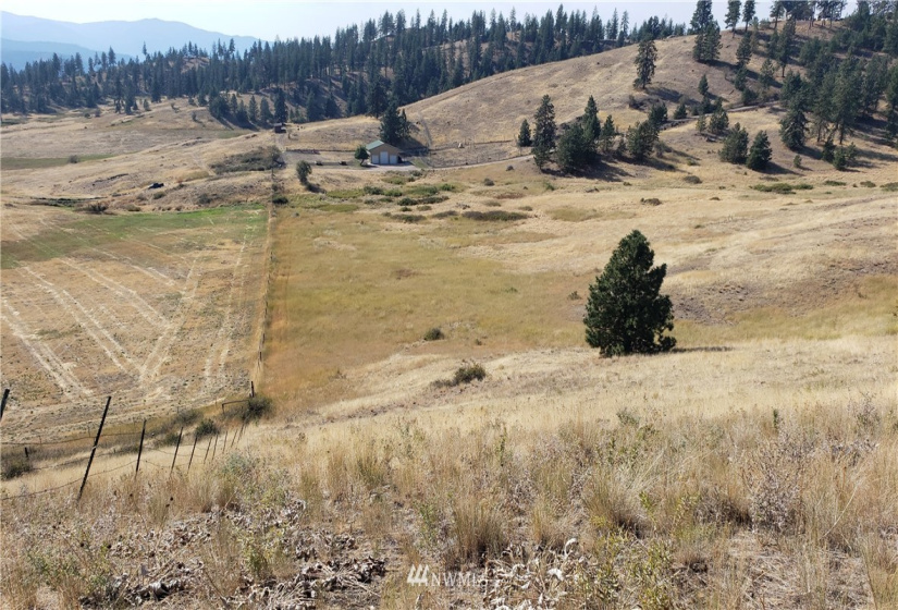 5170 Pheasant, Fruitland, Washington 99129, ,Land,For Sale,Pheasant,NWM1857689