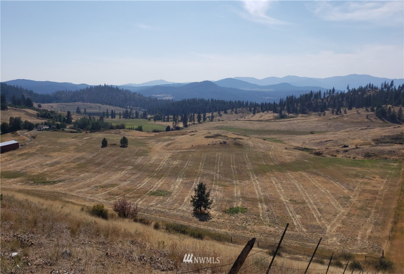 5170 Pheasant, Fruitland, Washington 99129, ,Land,For Sale,Pheasant,NWM1857689
