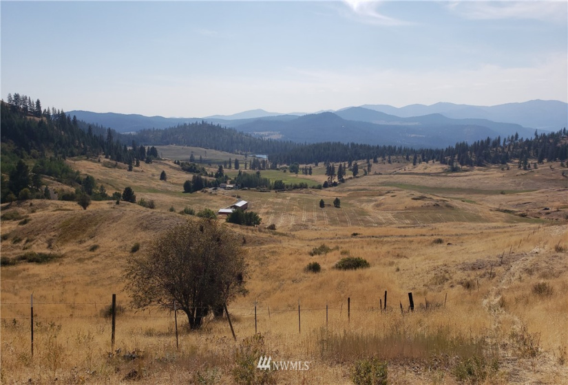 5170 Pheasant, Fruitland, Washington 99129, ,Land,For Sale,Pheasant,NWM1857689