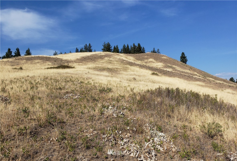 5170 Pheasant, Fruitland, Washington 99129, ,Land,For Sale,Pheasant,NWM1857689