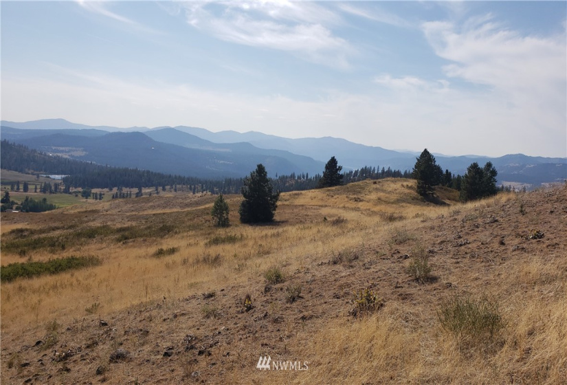 5170 Pheasant, Fruitland, Washington 99129, ,Land,For Sale,Pheasant,NWM1857689