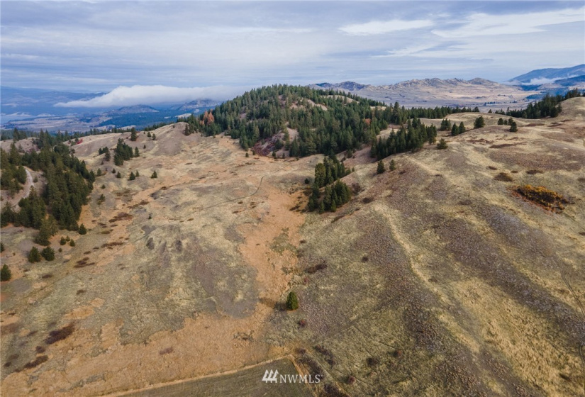 5170 Pheasant, Fruitland, Washington 99129, ,Land,For Sale,Pheasant,NWM1857689