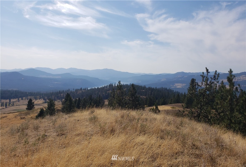 5170 Pheasant, Fruitland, Washington 99129, ,Land,For Sale,Pheasant,NWM1857689