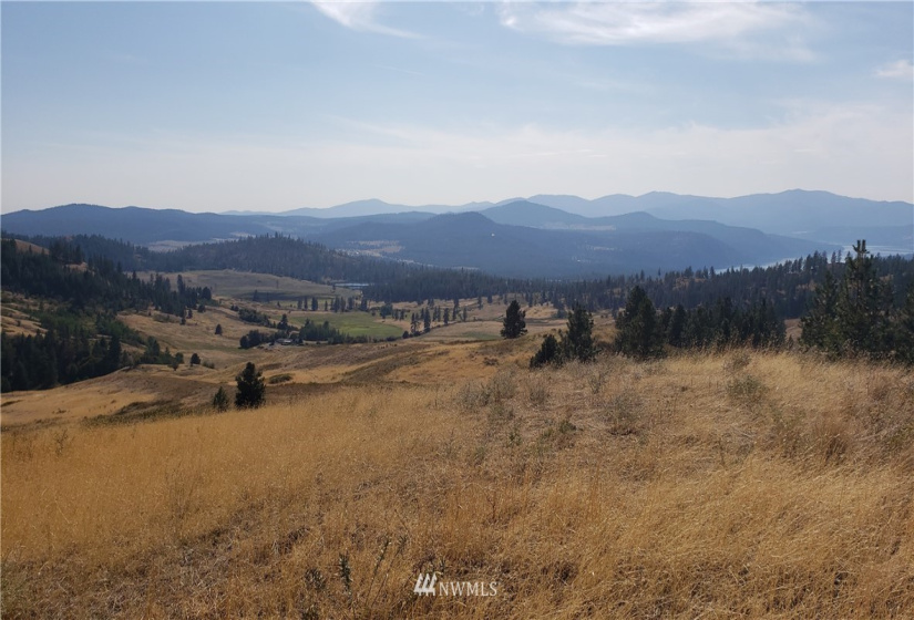 5170 Pheasant, Fruitland, Washington 99129, ,Land,For Sale,Pheasant,NWM1857689