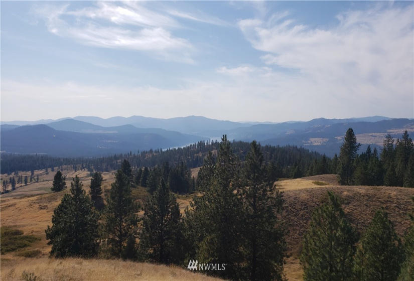 5170 Pheasant, Fruitland, Washington 99129, ,Land,For Sale,Pheasant,NWM1857689