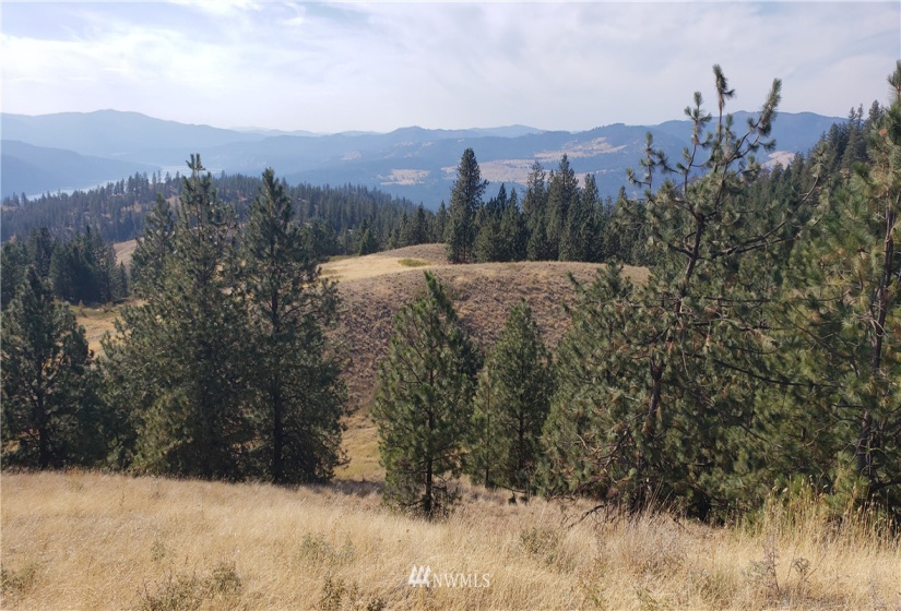 5170 Pheasant, Fruitland, Washington 99129, ,Land,For Sale,Pheasant,NWM1857689