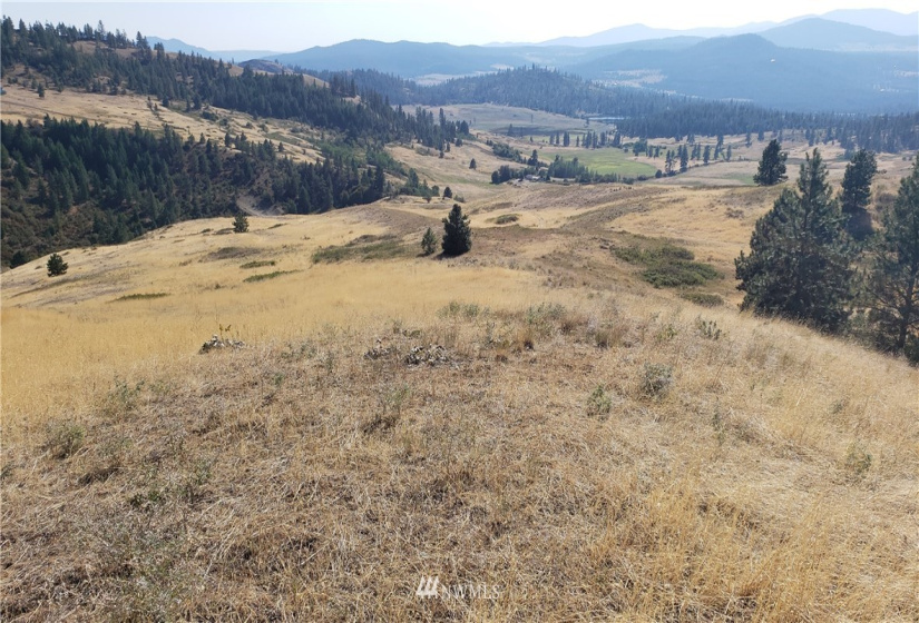 5170 Pheasant, Fruitland, Washington 99129, ,Land,For Sale,Pheasant,NWM1857689