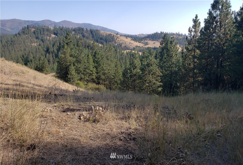5170 Pheasant, Fruitland, Washington 99129, ,Land,For Sale,Pheasant,NWM1857689