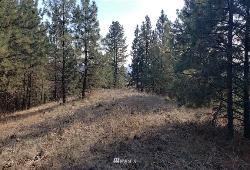 5170 Pheasant, Fruitland, Washington 99129, ,Land,For Sale,Pheasant,NWM1857689
