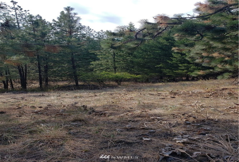 5170 Pheasant, Fruitland, Washington 99129, ,Land,For Sale,Pheasant,NWM1857689