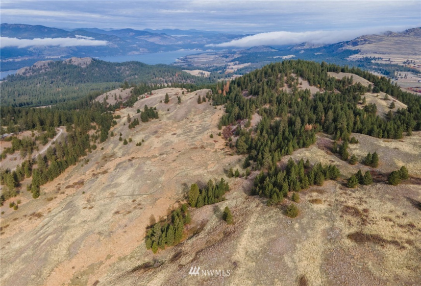 5170 Pheasant, Fruitland, Washington 99129, ,Land,For Sale,Pheasant,NWM1857689