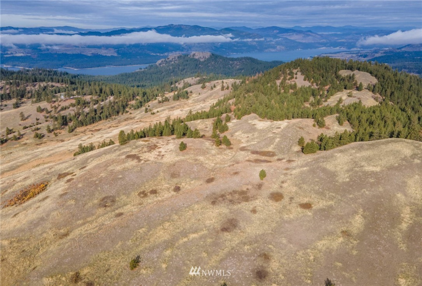 5170 Pheasant, Fruitland, Washington 99129, ,Land,For Sale,Pheasant,NWM1857689