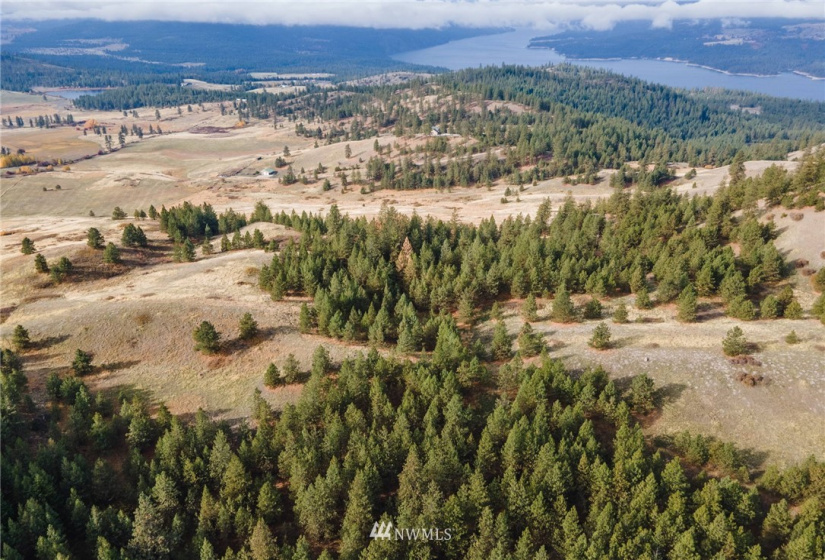 5170 Pheasant, Fruitland, Washington 99129, ,Land,For Sale,Pheasant,NWM1857689